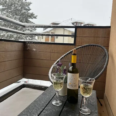 公寓 Montaigne 9 Hit 兹拉蒂博尔